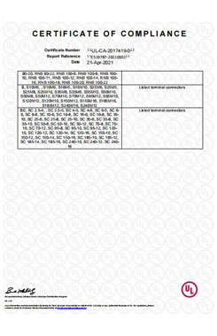 DALIER UL Certificate (E519787)